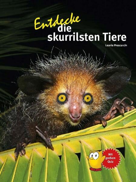 Bild zu Entdecke die skurrilsten Tiere