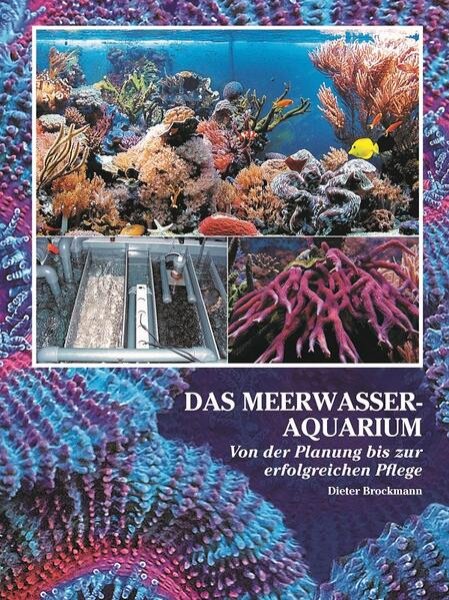 Bild zu Das Meerwasseraquarium