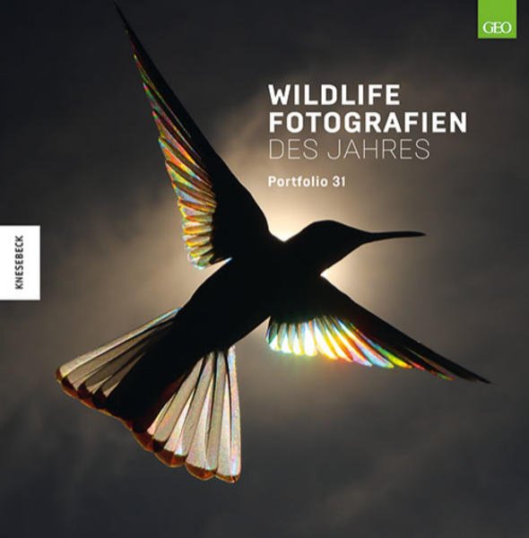 Bild zu Wildlife Fotografien des Jahres - Portfolio 31