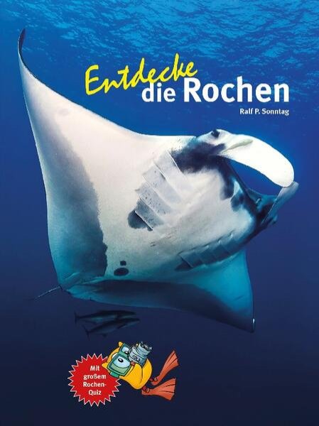 Bild zu Entdecke die Rochen