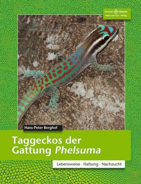 Bild zu Taggeckos der Gattung Phelsuma