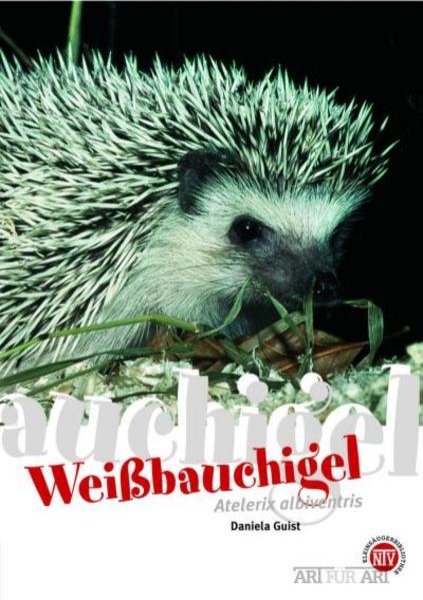 Bild zu Weissbauchigel