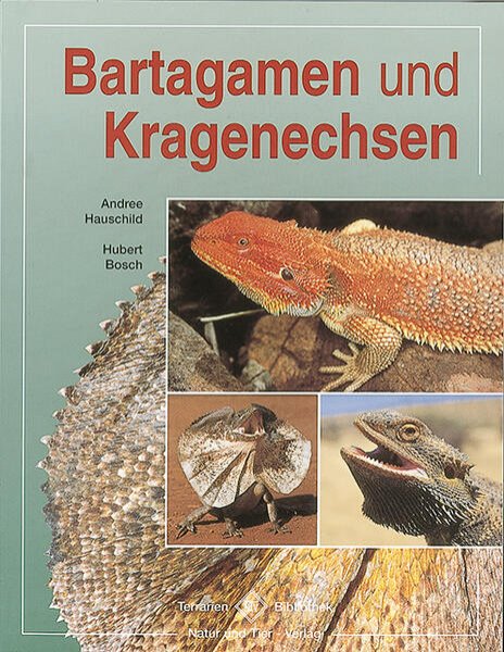 Bild zu Bartagamen und Kragenechsen