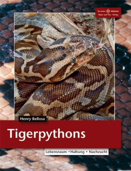 Bild zu Tigerpythons