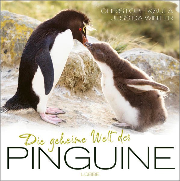 Bild zu Die geheime Welt der Pinguine