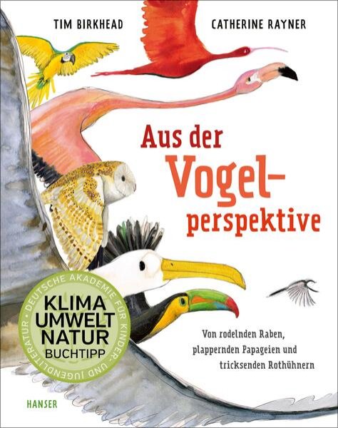 Bild zu Aus der Vogelperspektive