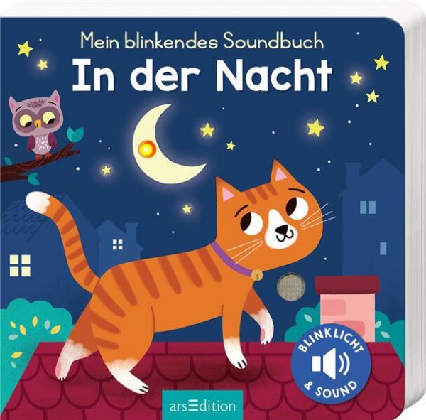 Bild zu Mein blinkendes Soundbuch - In der Nacht