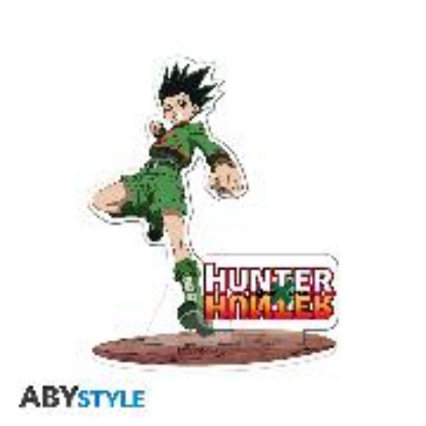 Bild von Hunter x Hunter - Acryl® - Gon