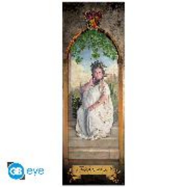 Bild von HARRY POTTER DoorPoster.- The Fat Lady