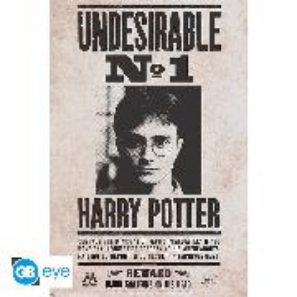 Bild von HARRY POTTER Poster. « Undesirable n°1 »