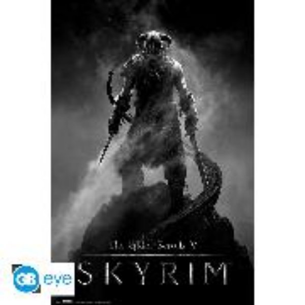 Bild von SKYRIM Dragonborn Poster.