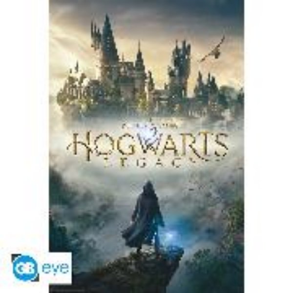 Bild von HARRY POTTER - Poster "Hogwarts Legacy Key Art"