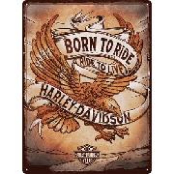 Bild von Blechschild. Harley-Davidson / Born to Ride Eagle