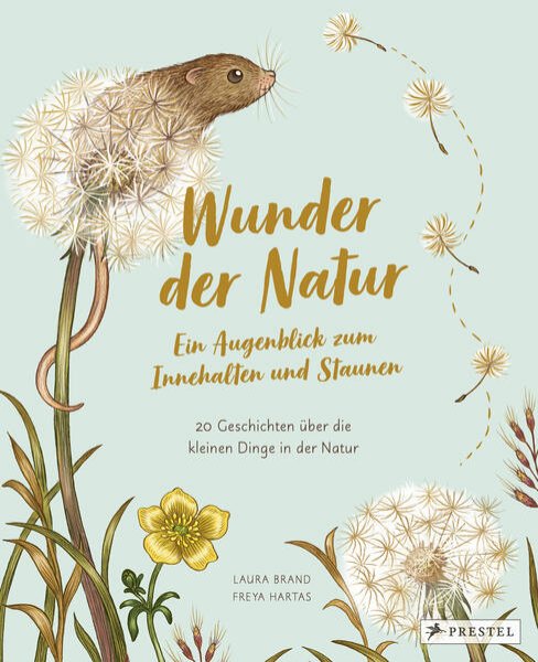 Bild zu Wunder der Natur. Ein Augenblick zum Innehalten und Staunen