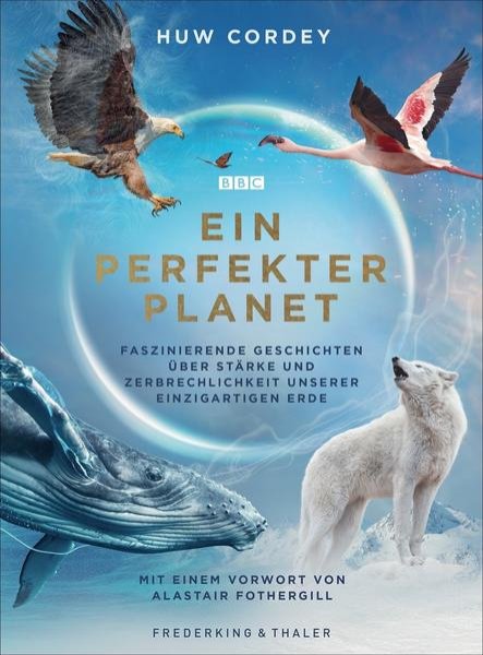 Bild zu Ein perfekter Planet