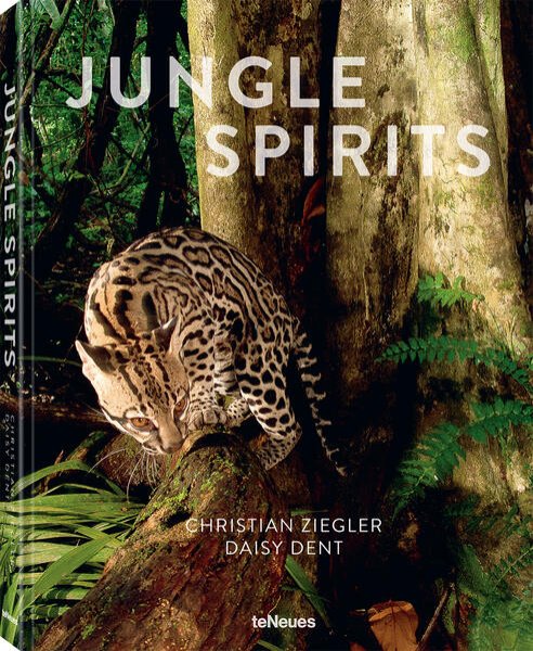 Bild zu Jungle Spirits