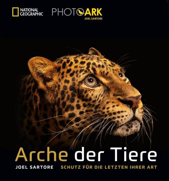 Bild zu Arche der Tiere