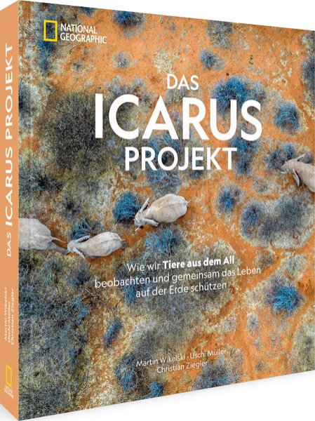 Bild zu Das ICARUS Projekt