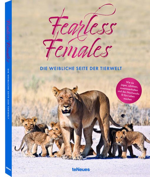 Bild zu Fearless Females