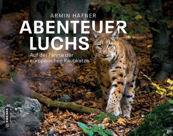 Bild zu Abenteuer Luchs