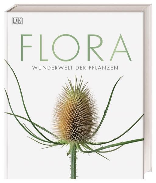 Bild zu Flora - Wunderwelt der Pflanzen