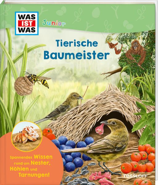 Bild zu WAS IST WAS Junior Tierische Baumeister