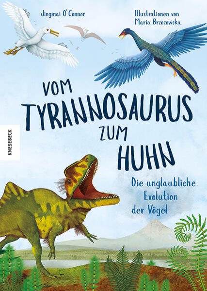 Bild zu Vom Tyrannosaurus zum Huhn