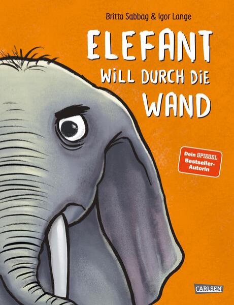 Bild zu Elefant will durch die Wand