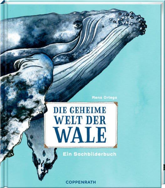 Bild zu Die geheime Welt der Wale