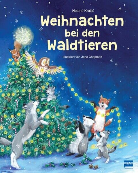 Bild zu Weihnachten bei den Waldtieren