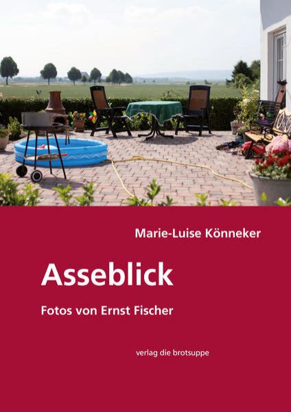 Bild zu Asseblick