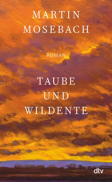 Bild zu Taube und Wildente