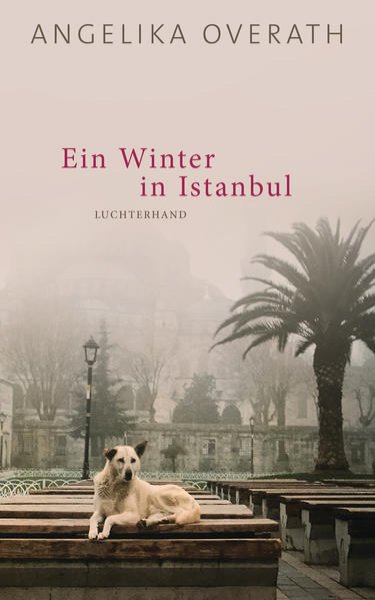 Bild zu Ein Winter in Istanbul