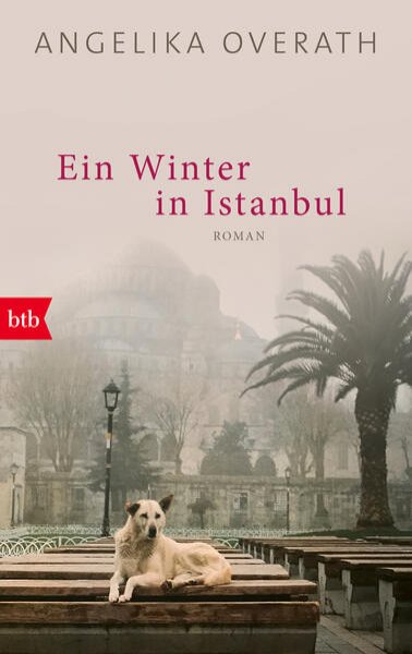 Bild zu Ein Winter in Istanbul