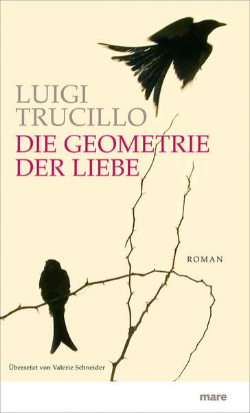 Bild zu Die Geometrie der Liebe