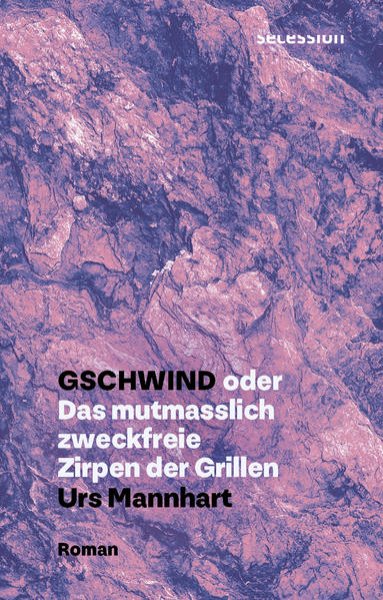 Bild zu Gschwind