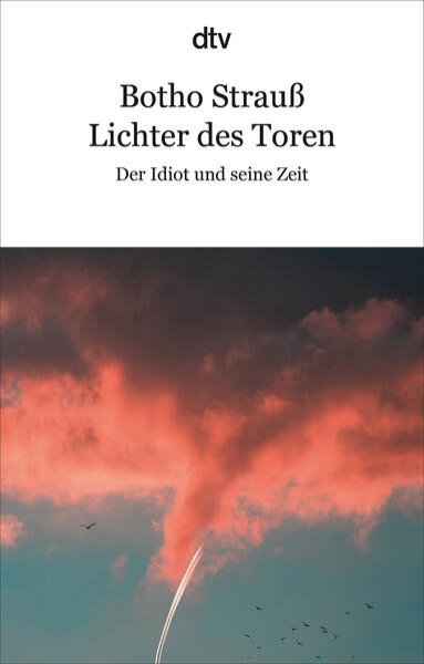 Bild zu Lichter des Toren