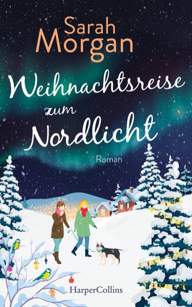 Bild zu Weihnachtsreise zum Nordlicht