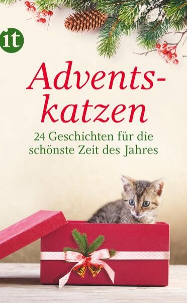 Bild zu Adventskatzen