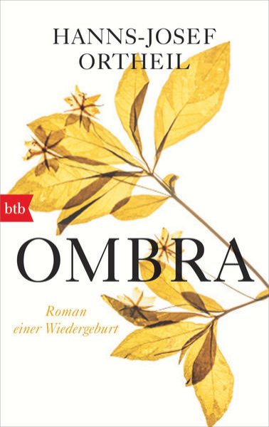 Bild zu OMBRA