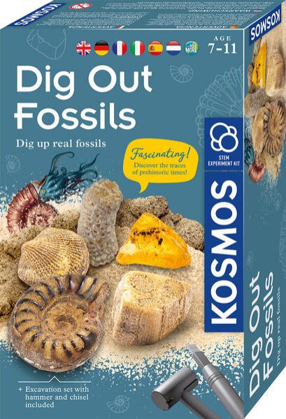 Bild zu MBE Dig Out Fossils INT