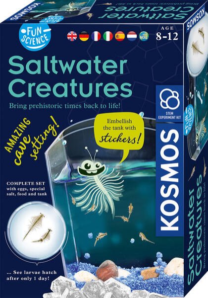 Bild zu Fun Science Saltwater Creatures INT