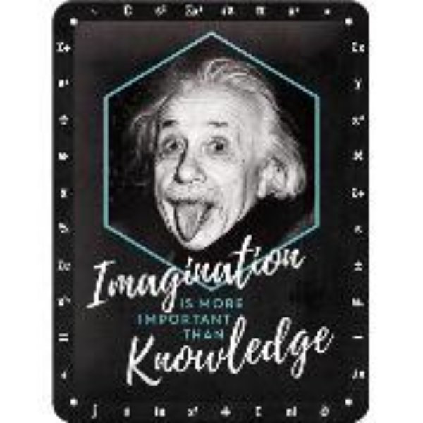 Bild von Blechschild. Imagination & Knowledge / Einstein