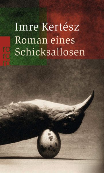 Bild zu Roman eines Schicksallosen