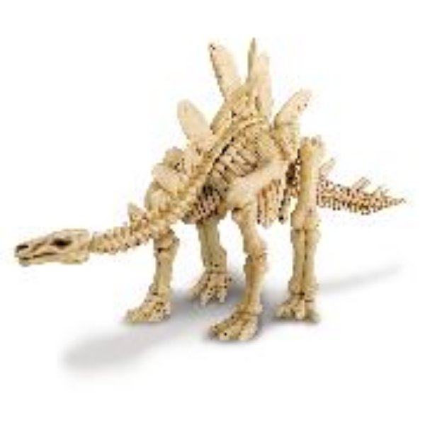 Bild von Dinosaurier Ausgrabung Stegosaurus - KidzLabs