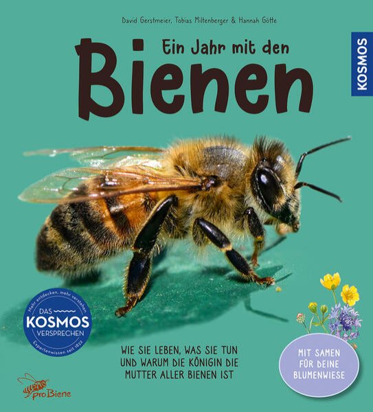 Bild zu Ein Jahr mit den Bienen