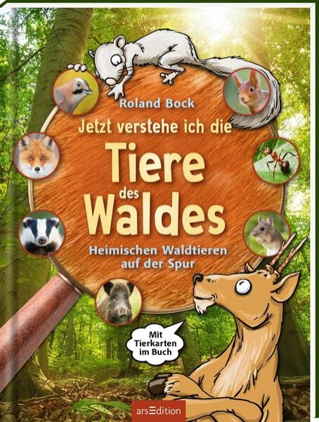 Bild zu Jetzt verstehe ich die Tiere des Waldes