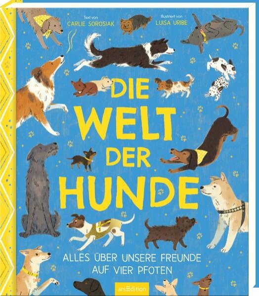 Bild zu Die Welt der Hunde