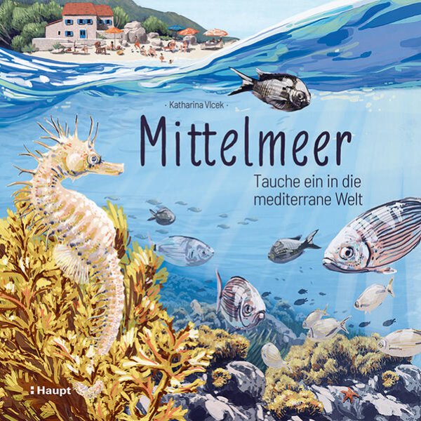 Bild zu Mittelmeer