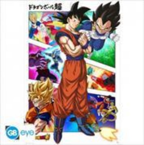 Bild von DRAGON BALL SUPER - Poster Maxi - Panels